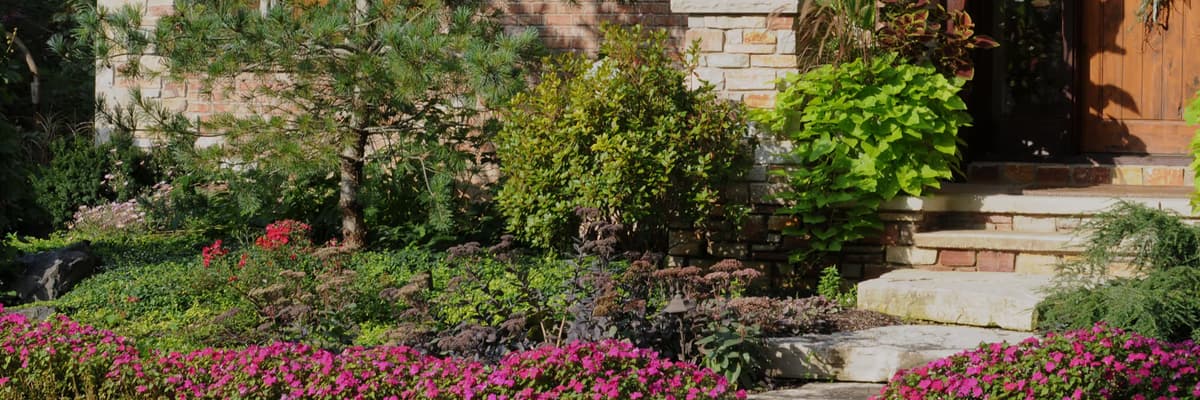 Landscape Design Process Explained: From Consult to Install