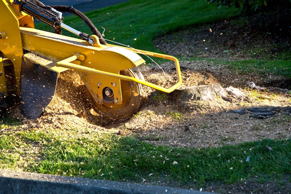 Stump Grinding — Tree Care Enterprises