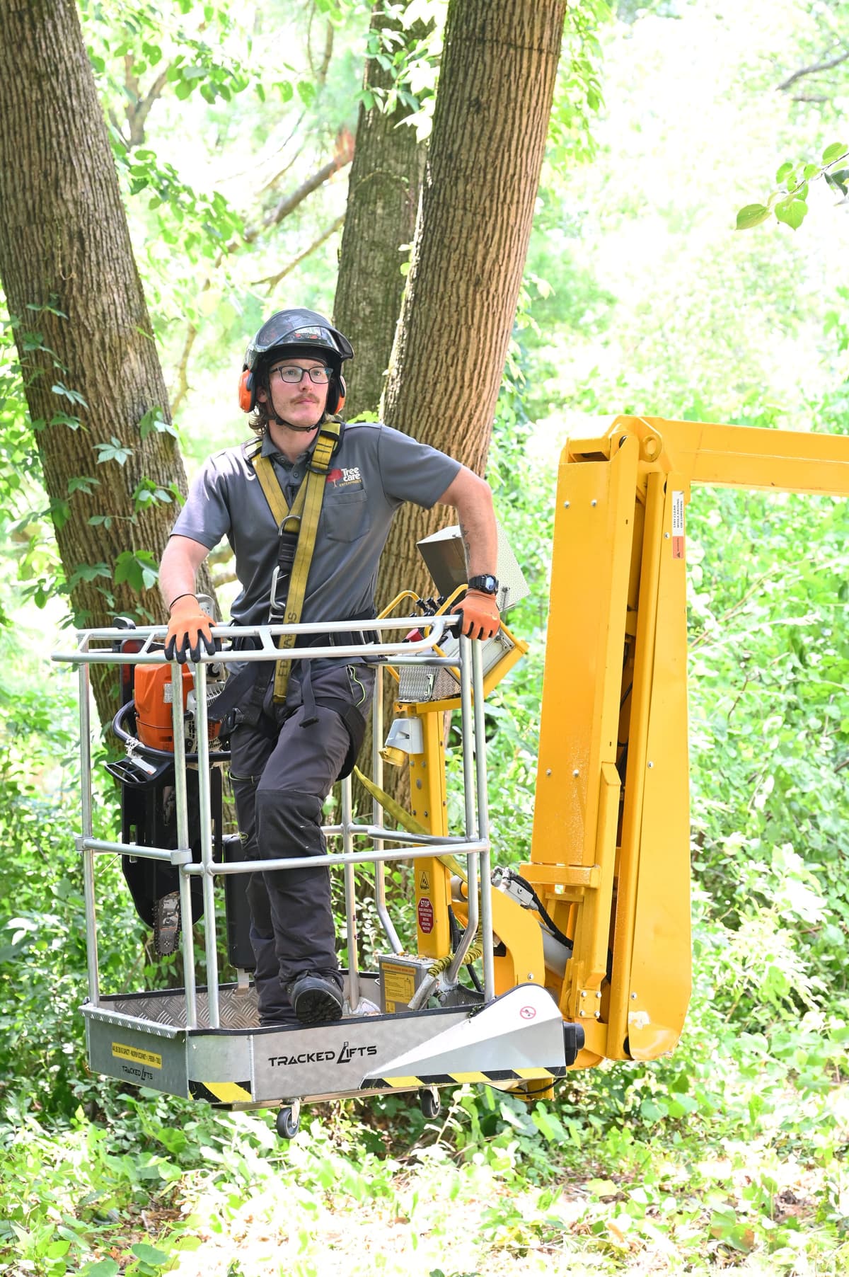 Tree Care Enterprises crew on a job site