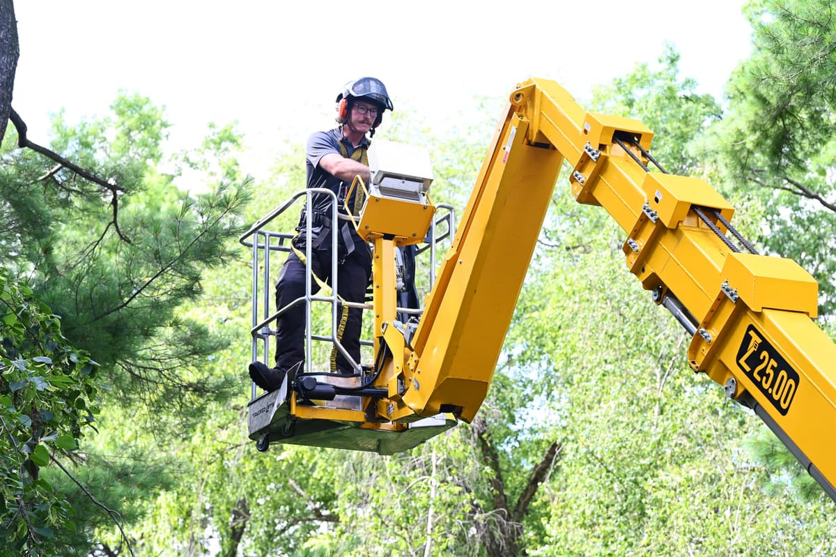Tree Care Enterprises crew on a job site