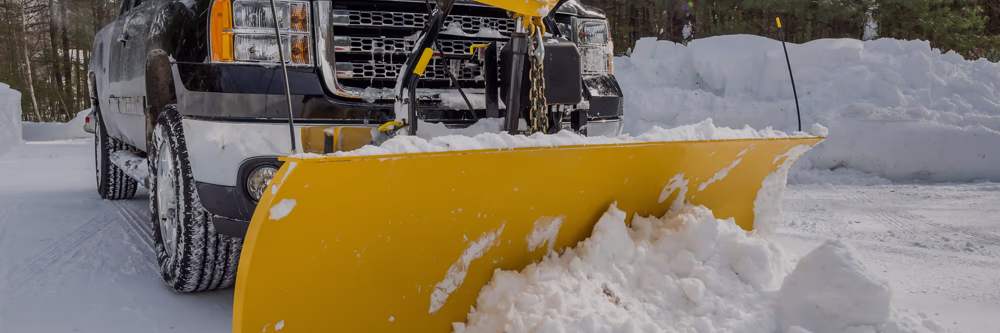 Snow Removal services from Tree Care Enterprises in Rockford, IL