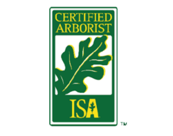 tc-ISA-logo